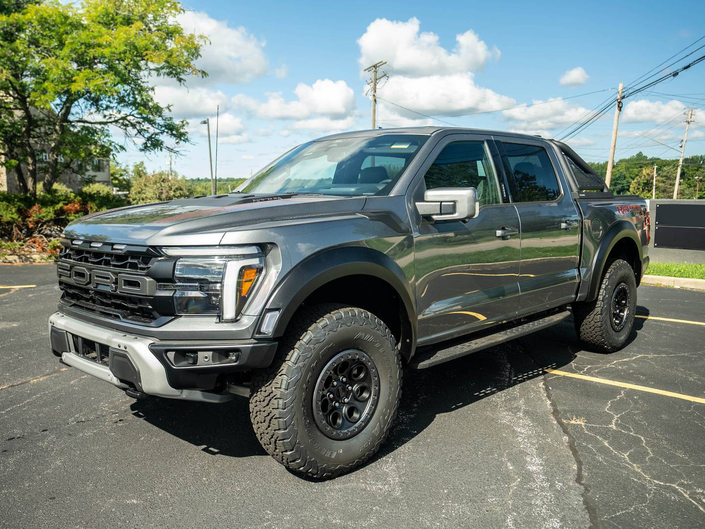 Ford F-150 Raptor #325